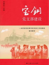 宝钢党支部建设