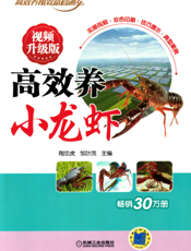 高效养小龙虾_视频升级版