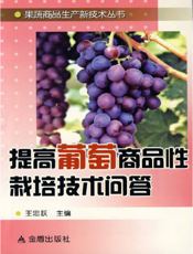提高葡萄商品性栽培技术问答
