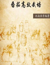 番茄高效栽培 - 祝海燕