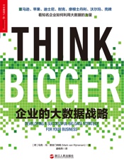 企业的大数据战略