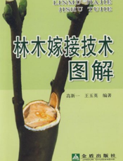 林木嫁接技术图解