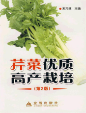 芹菜优质高产栽培