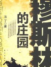 穆斯林的庄园 - 丑丁