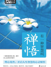 有一种智慧叫禅悟