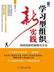 学习型组织新实践_持续创新的策略与方法