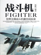 战斗机——世界王牌战斗机暨空战实录
