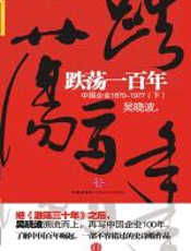 跌荡一百年(下) - 吴晓波