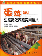 蛋鸡生态高效养殖实用技术