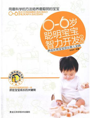 0-6岁聪明宝宝智力开发宝典
