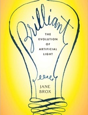 Brilliant_ The Evolution of Art - Jane Brox