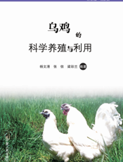 乌鸡的科学养殖与利用