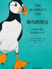海鸟的哭泣