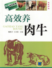 高效养肉牛