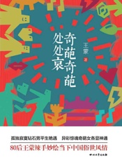 看80后王蒙辣手妙绘当下中国俗世情：奇葩奇葩处处哀