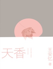 王安忆长篇小说4种（纪实与虚构、启蒙时代、流水三十章、天香） - 王安忆