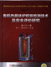 有机热载体炉积炭检测技术及安全评价研究