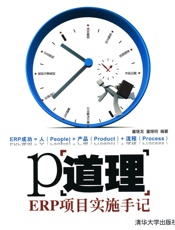 P道理_ERP项目实施手记