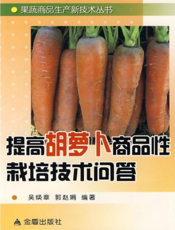 提高胡萝卜商品性栽培技术问答
