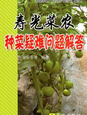 寿光菜农种菜疑难问题解答