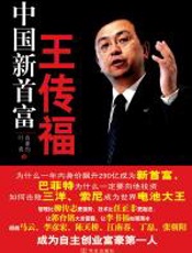 中国新首富王传福 - 叶青