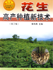 花生高产种植新技术