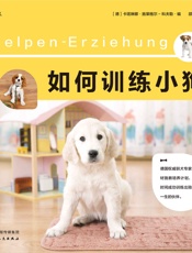 如何训练小狗