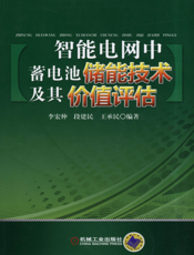 智能电网中蓄电池储能技术及其价值评估