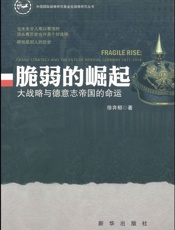 脆弱的崛起_大战略与德意志帝国的命运