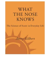 What the Nose Knows - Avery Gilbert