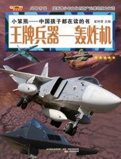 王牌兵器——轰炸机