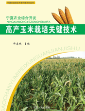 高产玉米栽培关键技术