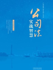 公司法实战智慧