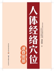 人体经络穴位速查图册