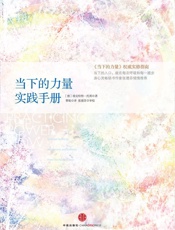 当下的力量实践手册