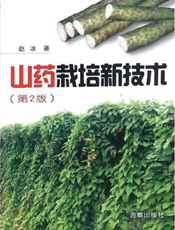 山药栽培新技术