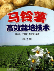 马铃薯高效栽培技术