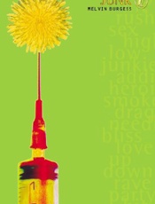 Junk - Melvin Burgess; Julia Eccleshar