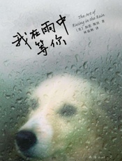 我在雨中等你 - 加思•斯坦