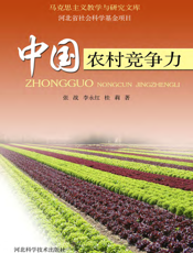 中国农村竞争力