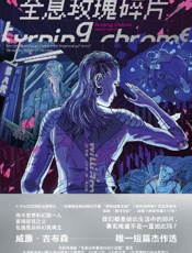 《全息玫瑰碎片》---威廉·吉布森