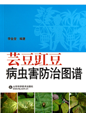 芸豆豇豆病虫害防治图谱