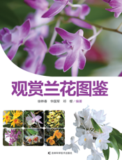 观赏兰花图鉴