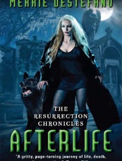 Afterlife - Merrie Destefano