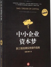 中小企业资本梦：新三板挂牌实务操作指南