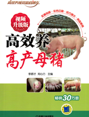 高效养高产母猪_视频升级版