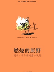 燃烧的原野