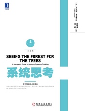系统思考（白金版） - 丹尼斯.舍伍德（Dennis_Sherwood）