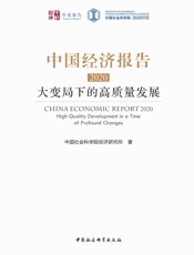 中国经济报告.2020：大变局下的高质量发展