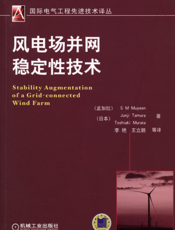 风电场并网稳定性技术